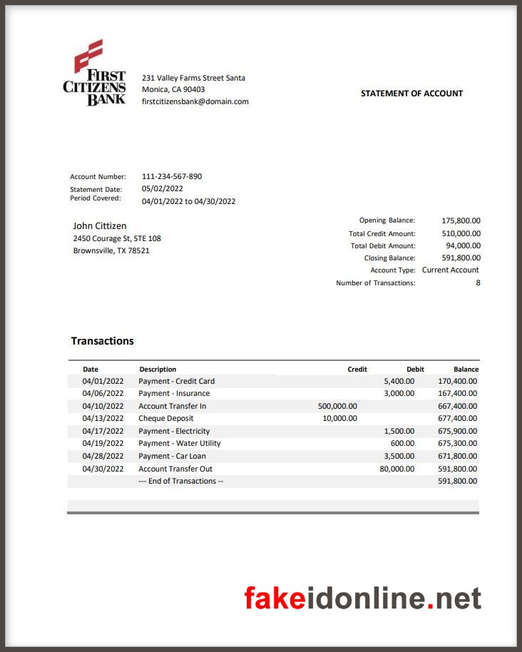 First Citizens Editable Word Bank Statement